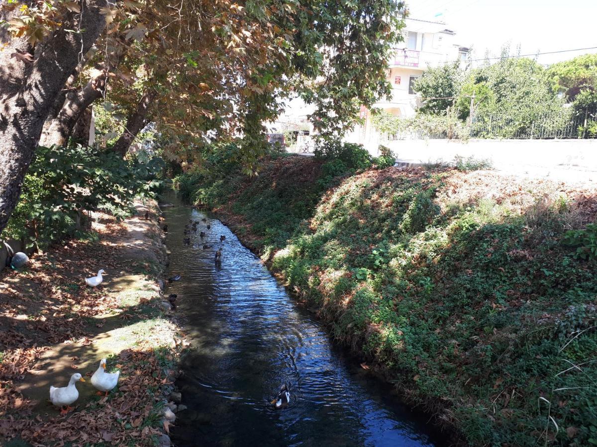 Samos Apart Pension Guzelcamli Bagian luar foto