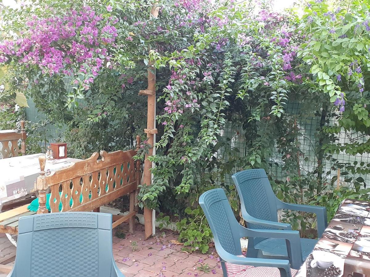 Samos Apart Pension Guzelcamli Bagian luar foto