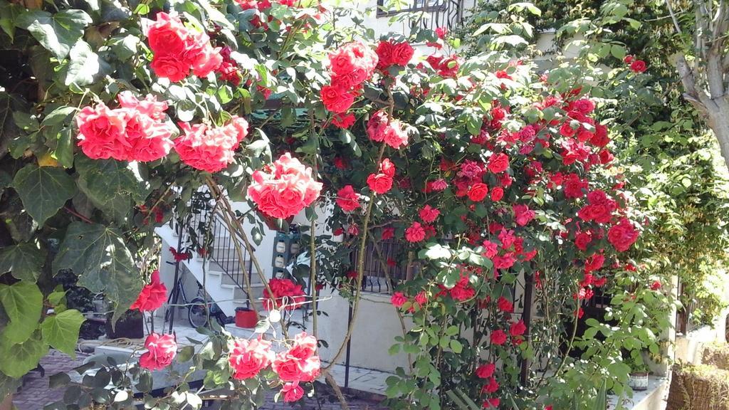 Samos Apart Pension Guzelcamli Bagian luar foto