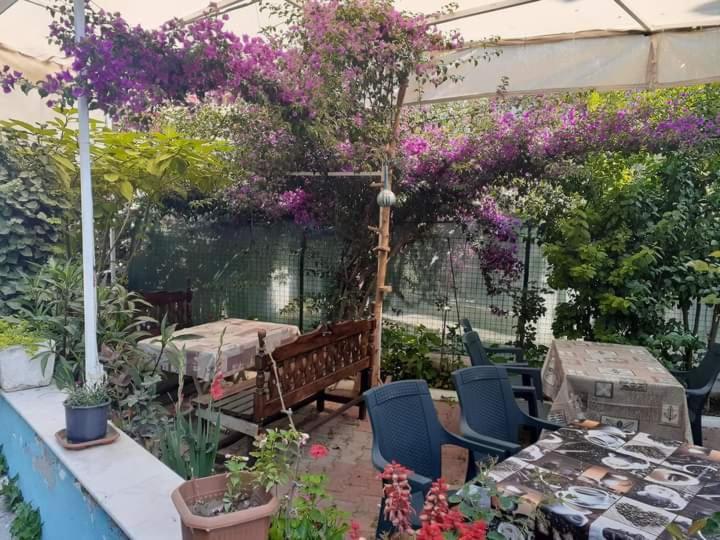 Samos Apart Pension Guzelcamli Bagian luar foto