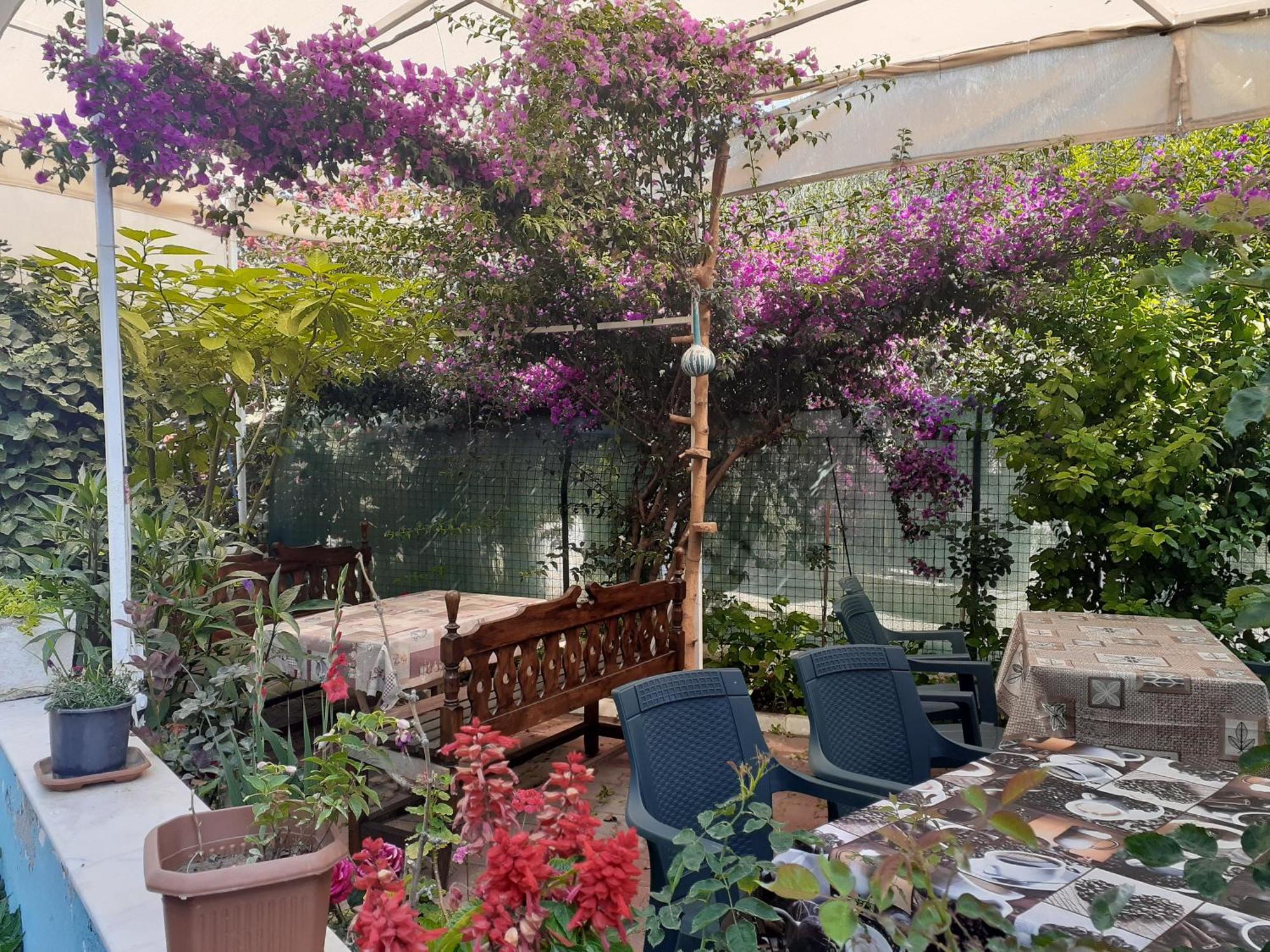 Samos Apart Pension Guzelcamli Bagian luar foto