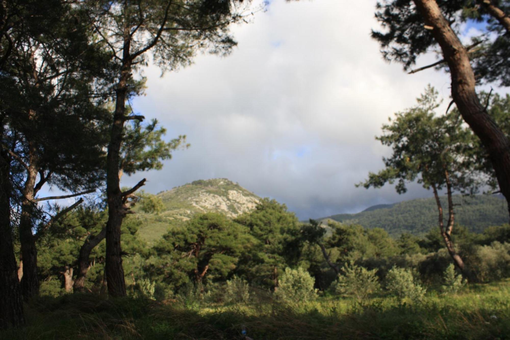 Samos Apart Pension Guzelcamli Bagian luar foto