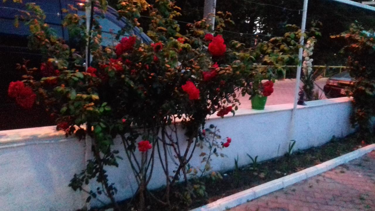 Samos Apart Pension Guzelcamli Bagian luar foto