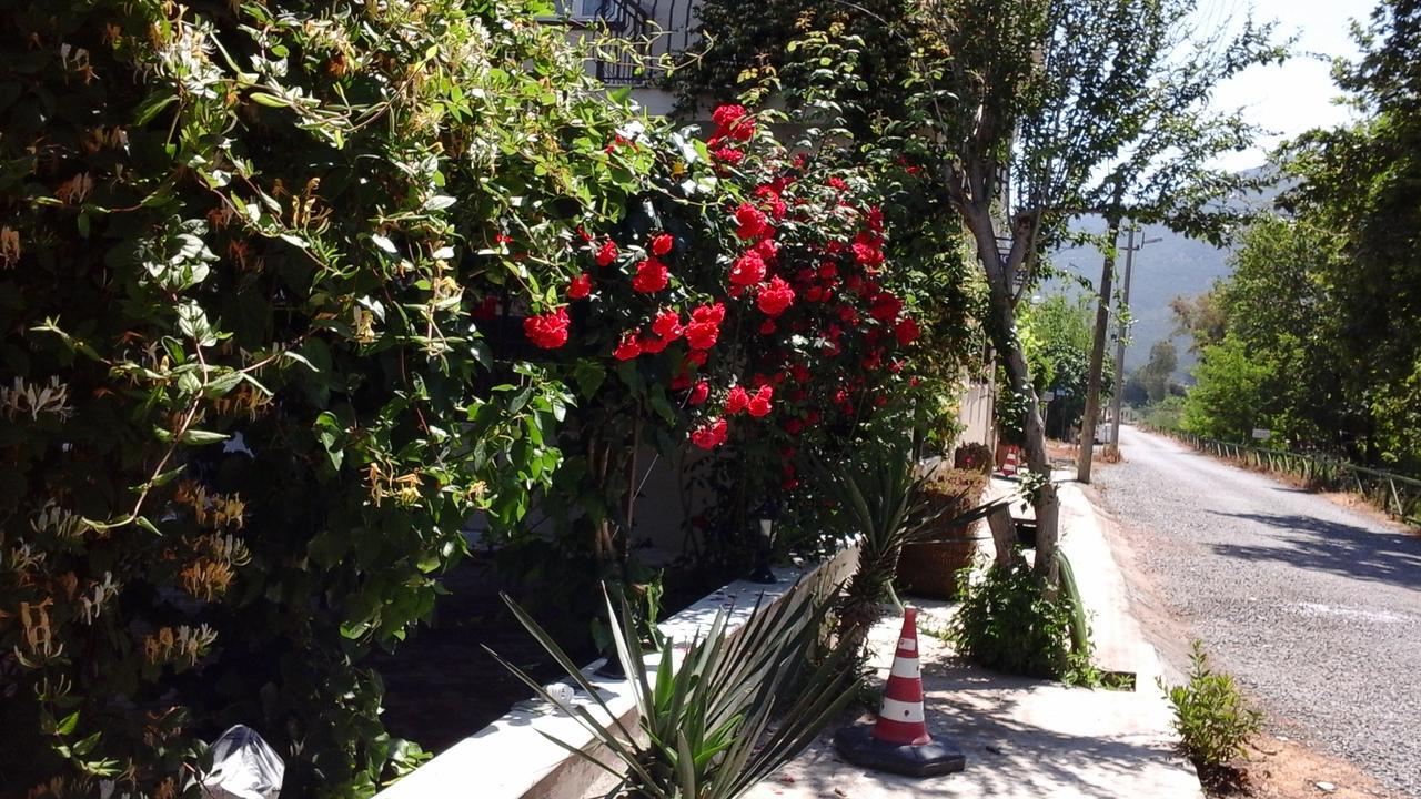 Samos Apart Pension Guzelcamli Bagian luar foto